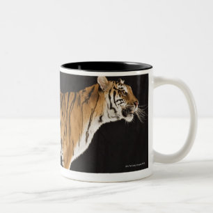Tiger standing on platform Two-Tone coffee mug