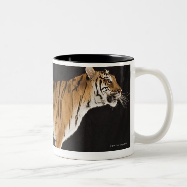 Tiger standing on platform Two-Tone coffee mug (Right)