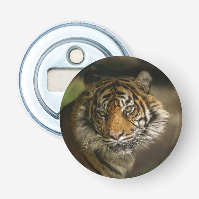 Tiger Stare Bottle Opener (Front)