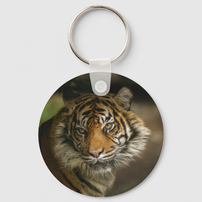 Tiger Stare Key Ring (Front)