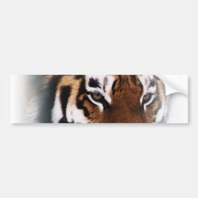 Tiger sticker (Front)