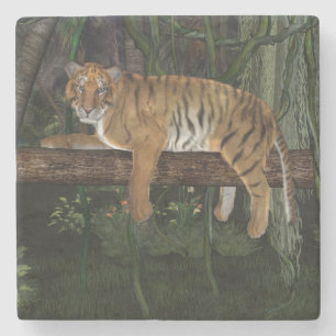 Tiger Stone Coaster