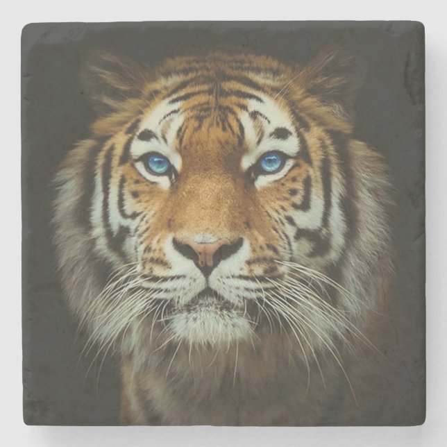Tiger Stone Coaster (Front)