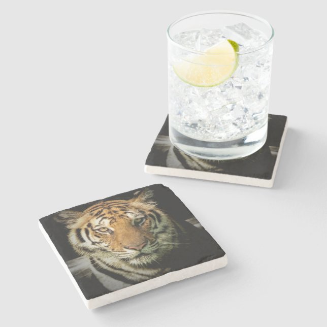 tiger stone coaster (Side)