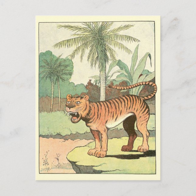 Tiger Story Book Postcard (Front)