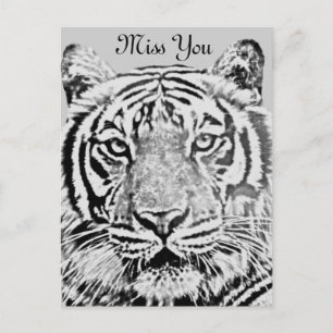 Tiger strength_ postcard
