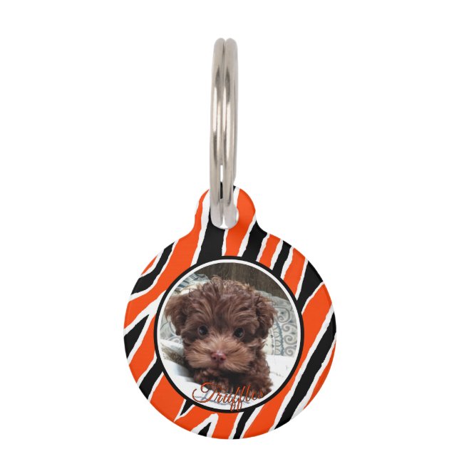 Tiger Stripe Custumizable - Orange/Black Pet Tag (Front)