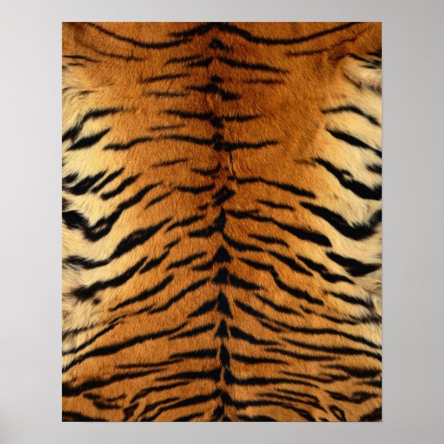Tiger Stripe Fur Print (Front)