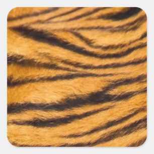 Tiger Stripes Fur Black and Orange Personalise it Square Sticker