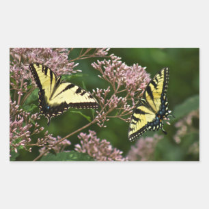 Tiger Swallowtail Butterflies on Joe Pye Weed Rectangular Sticker