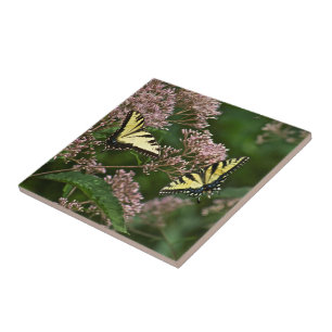 Tiger Swallowtail Butterflies on Joe Pye Weed Tile