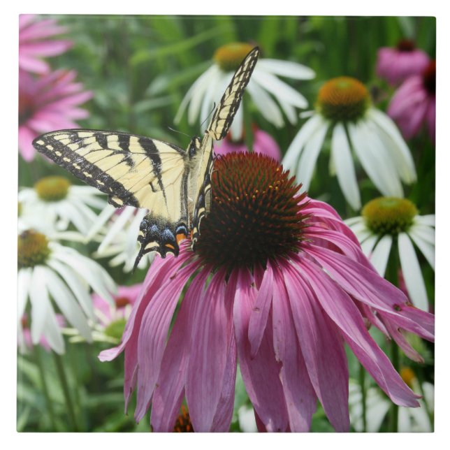 Tiger Swallowtail Butterfly Ceramic Tile (Front)