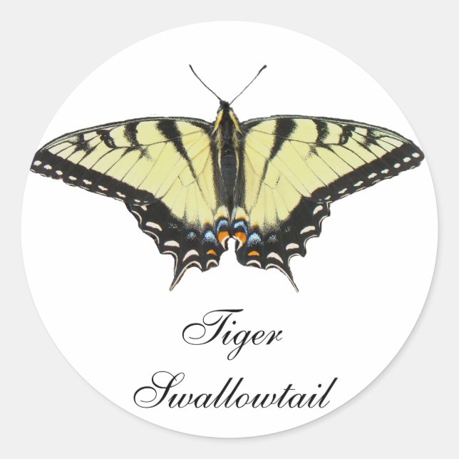 Tiger Swallowtail Butterfly Classic Round Sticker (Front)
