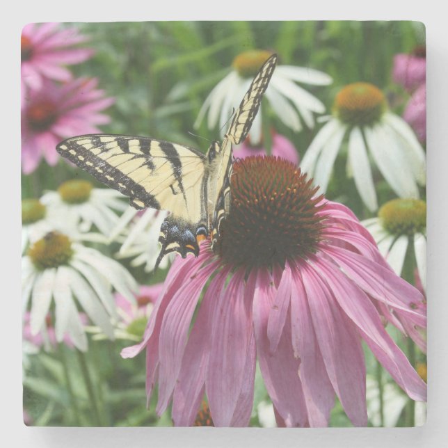 Tiger Swallowtail Butterfly Fower Stone Coaster (Front)