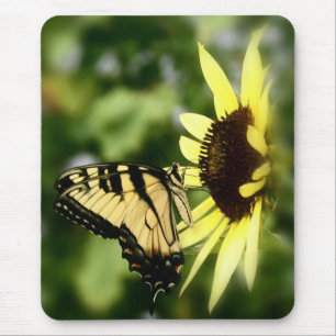 Tiger Swallowtail butterfly Mouse Mat