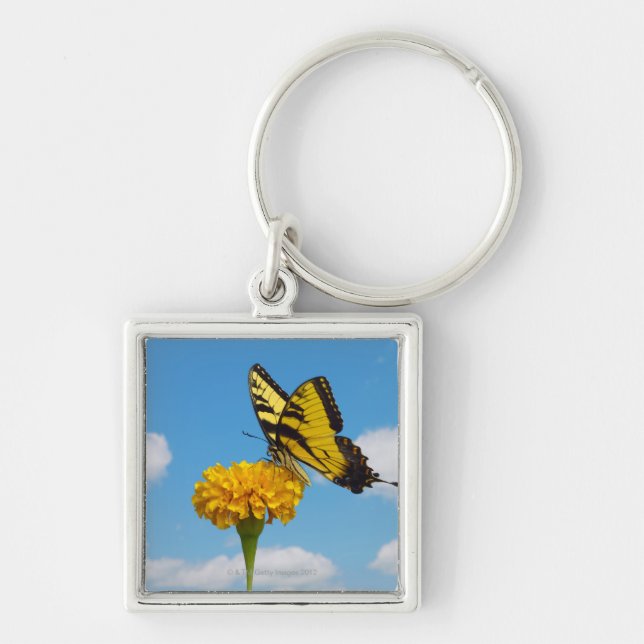 Tiger Swallowtail Butterfly on a Flower Key Ring (Front)
