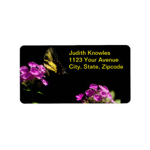 Tiger Swallowtail Butterfly On Phlox in Summer Label