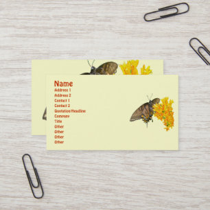 Tiger Swallowtail Butterfly (Papilio glaucas) Item Business Card