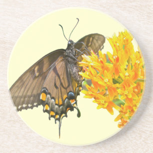 Tiger Swallowtail Butterfly (Papilio glaucas) Item Coaster