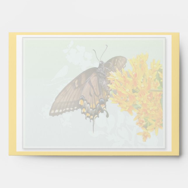 Tiger Swallowtail Butterfly (Papilio glaucas) Item Envelope (Front)