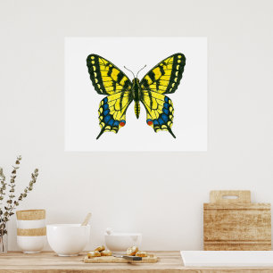 Tiger swallowtail butterfly poster