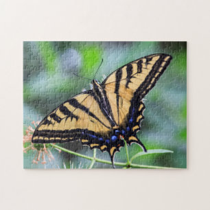 Tiger Swallowtail Butterfly Puzzle