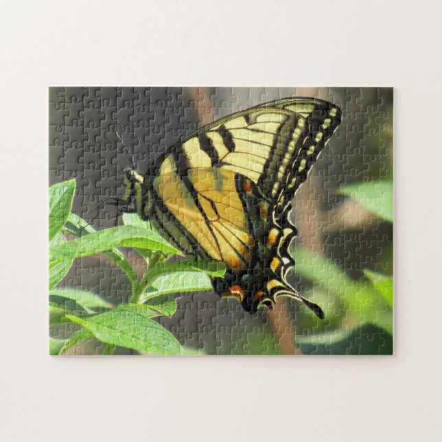 Tiger Swallowtail Butterfly Puzzle (Horizontal)