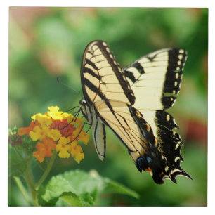 Tiger Swallowtail Butterfly Tile