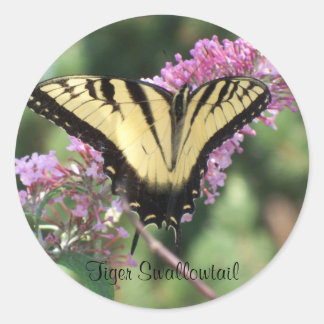 Tiger Swallowtail Classic Round Sticker