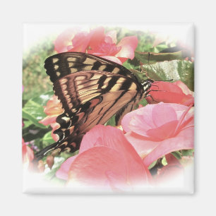 Tiger Swallowtail Magnet