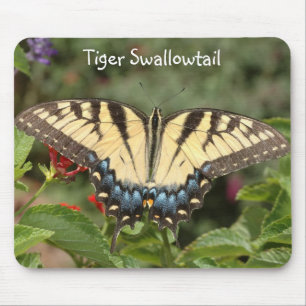 Tiger Swallowtail Mouse Mat