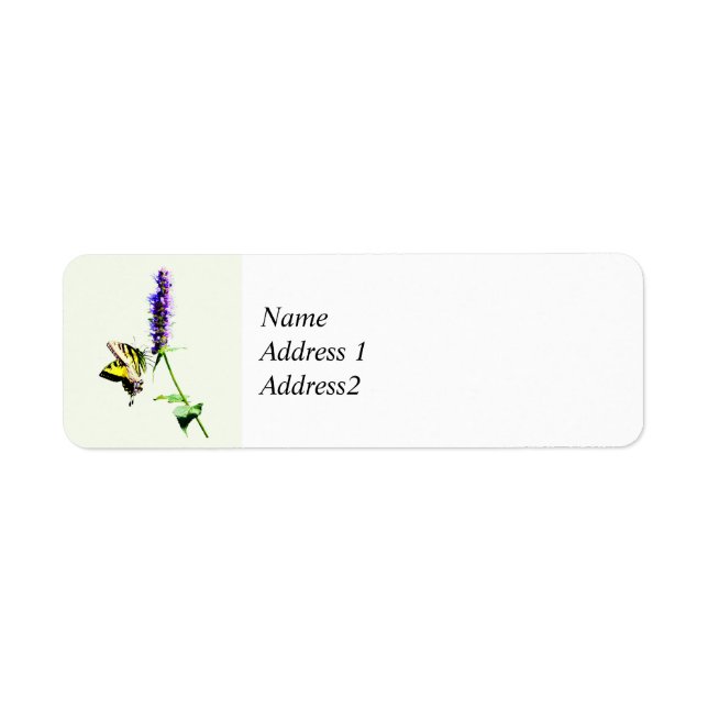 Tiger Swallowtail on Purple Salvia (Front)