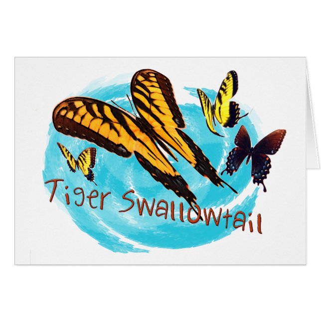 tiger swallowtail products (Front Horizontal)