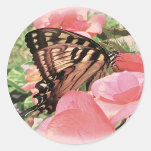 Tiger Swallowtail Stickers