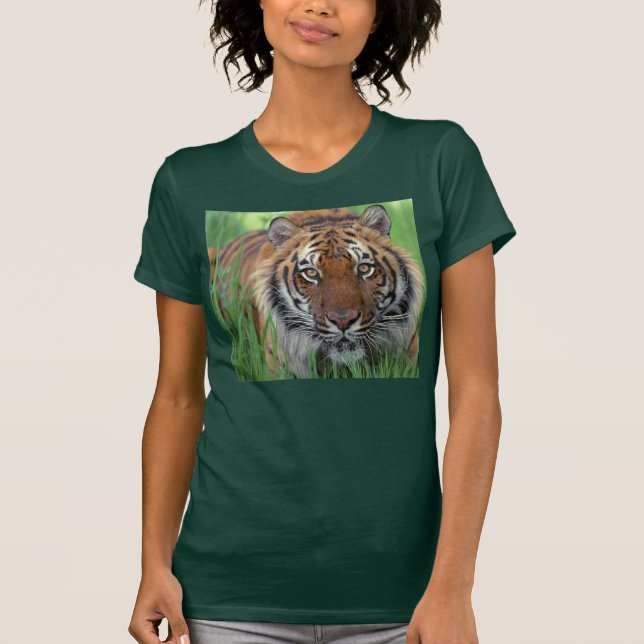 Tiger T-Shirt (Front)