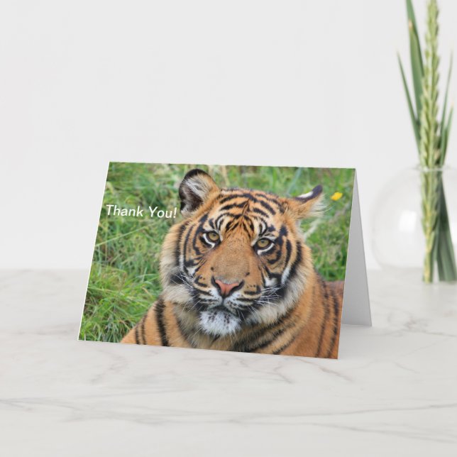 Tiger Thank You Greeting Card (Front)