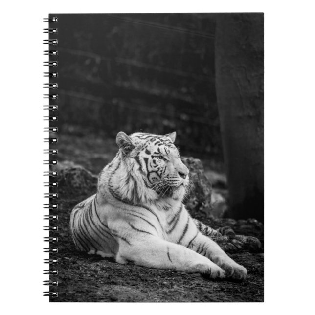 TIGER THINKING NOTEBOOK (Front)