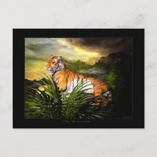 Tiger, Tiger, Burning Bright Postcard