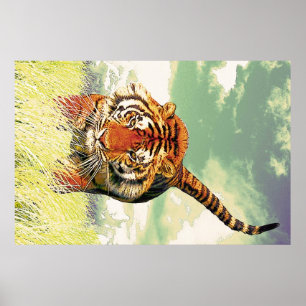 Tiger Tiger! Poster