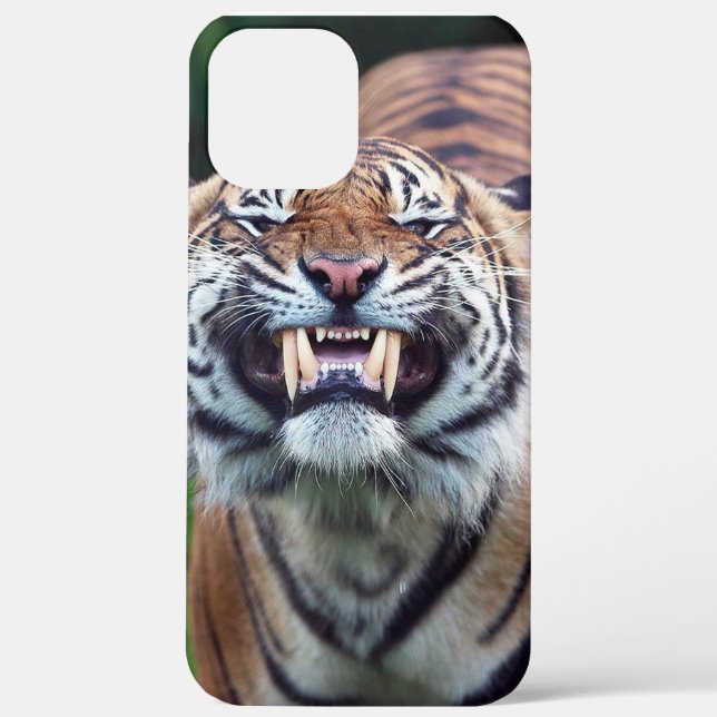 "Tiger Tooth" Case-Mate iPhone Case (Back)