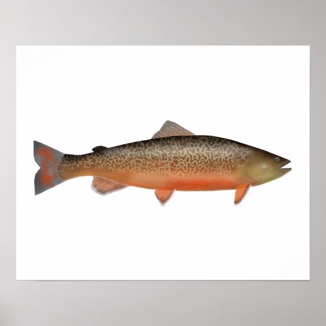 Tiger Trout Poster (Front)