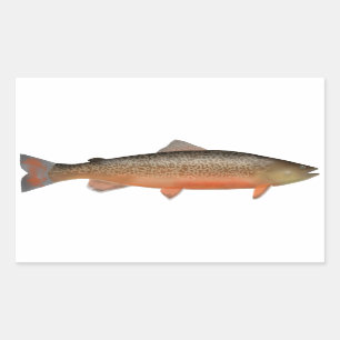 Tiger Trout Rectangular Sticker
