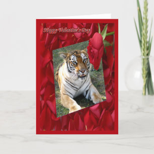 Tiger Valentine Card