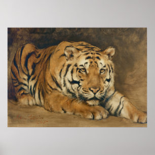 Tiger Vintage Art, Muted Neutral Vintage Art Poster