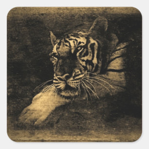 Tiger Vintage Art Sticker