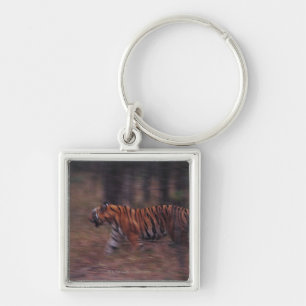 Tiger Walking through Forest Key Ring
