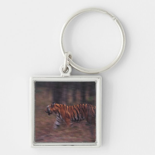 Tiger Walking through Forest Key Ring (Front)