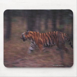 Tiger Walking through Forest Mouse Mat