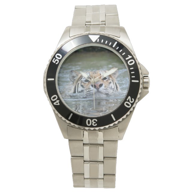 Tiger Watch (Front)