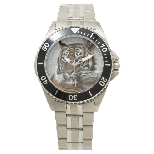 Tiger Watch (Front)